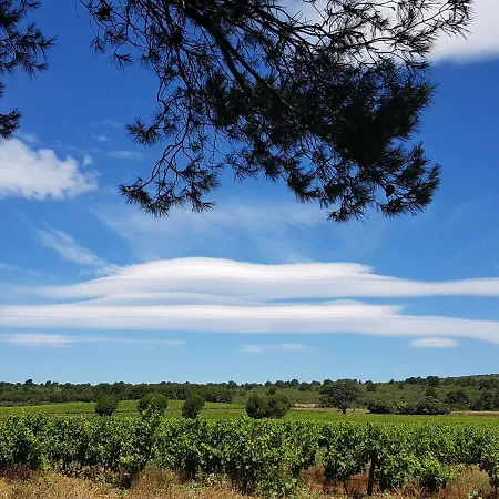 Les Lauriers Roses By Interhome Appartement Narbonne-Plage